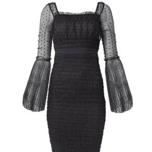 Dotted Mesh Bodycon Dress
